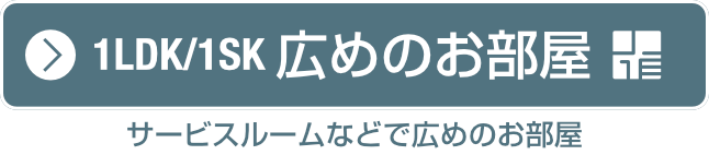 広めのお部屋